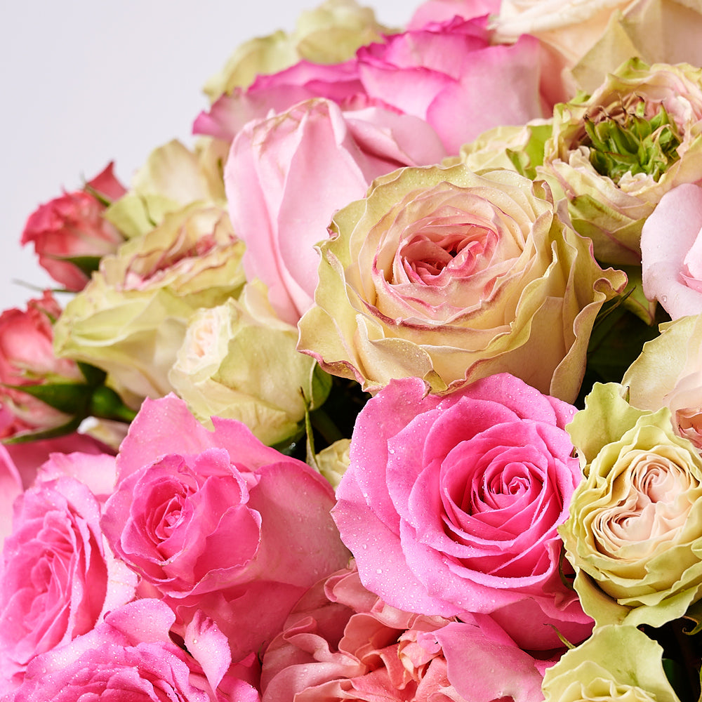 Ultimate Blushing Rose Gift from New York Blooms - Floral Gift Box - New York Delivery.