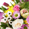 Mother’s Day Mixed Spring Arrangement from New York Blooms - Mixed Floral Gift Box - New York Delivery.