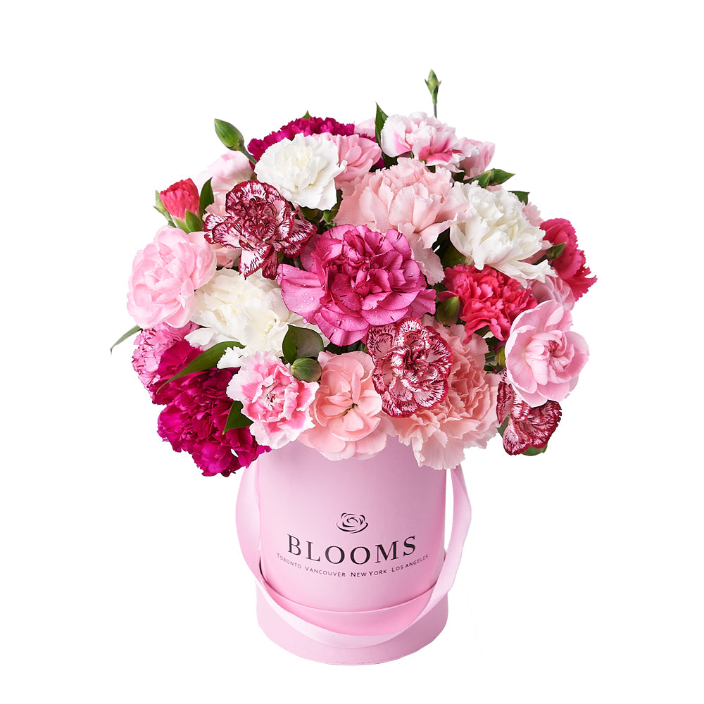 Perfectly Pink Carnation Gift Box from New York Blooms - Mixed Floral Gifts - New York Delivery.