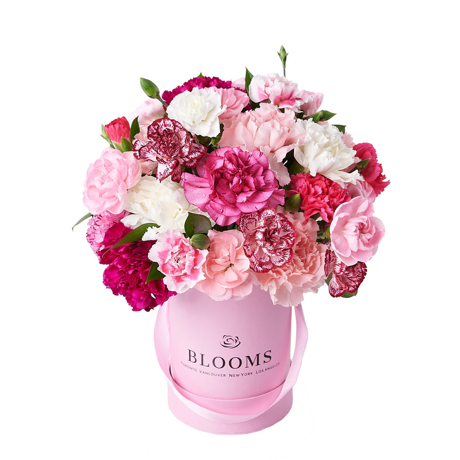 Perfectly Pink Carnation Gift Box from New York Blooms - Mixed Floral Gifts - New York Delivery.