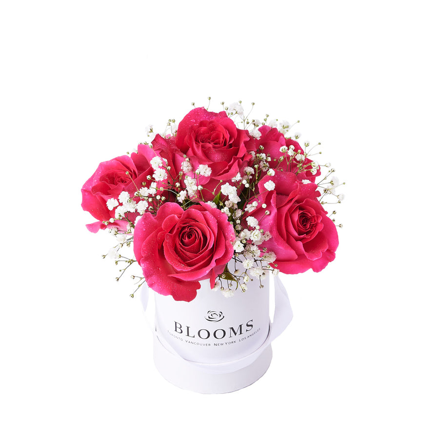 Tender Pink Rose Gift from New York Blooms - Flower Gifts - New York Delivery.