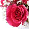 Tender Pink Rose Gift from New York Blooms - Flower Gifts - New York Delivery.