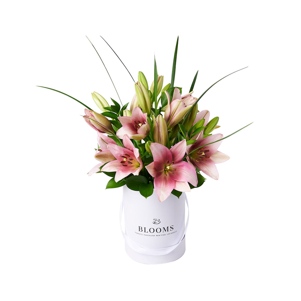 Glorious Lily Gift Box, lily gift, floral gift, flower gift, mother's day New York Blooms