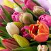 Resplendent Spring Tulip Gift Set from New York Blooms - Wine & Flower Gift Set - New York Delivery.