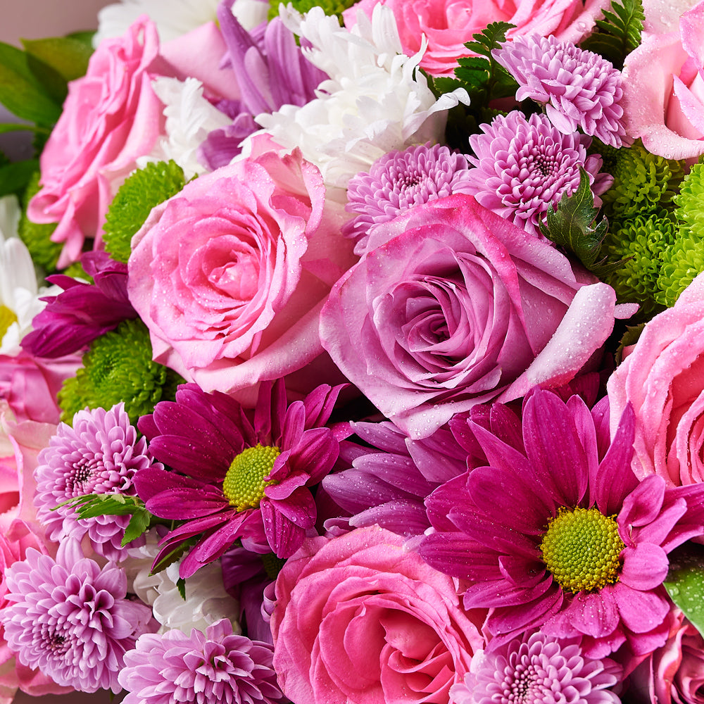 Pink & Purple Mixed Daisy Bouquet from New York Blooms - Mixed Floral Gifts - New York Delivery.