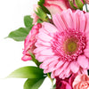 Color-Crazed Carnations Flower Gift