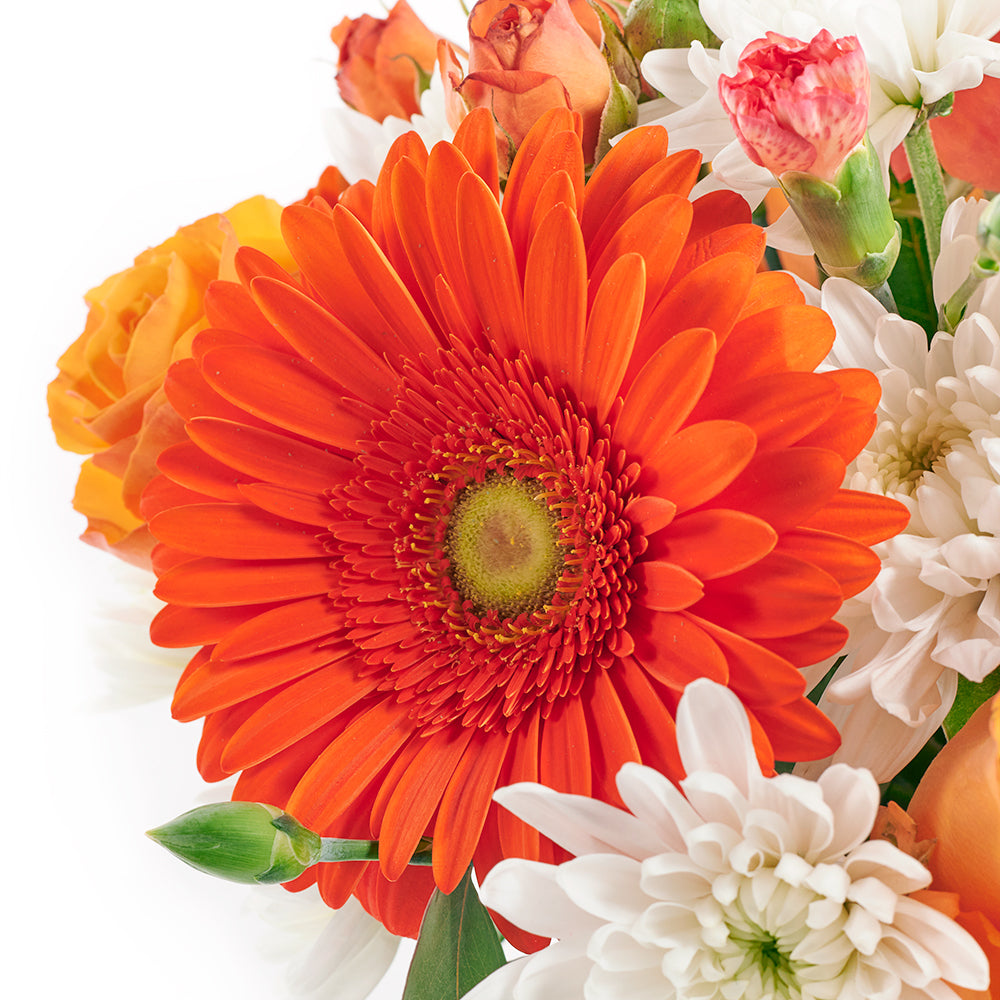 Forever Young Daisy Box, Mixed Floral Arrangement, Multi-Colored Floral Hat Box, Mixed Floral Bouquet, Floral Gifts, Roses, Daisies, Gerberas, Carnations, NY Same Day Delivery