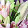 Berry Crush Lily Bouquet, Pink Alstroemeria,, Pink Lily Bouquet, Floral Gifts, Pink Bouquet, NY Same Day Delivery