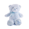Blue Best Friend Baby Plush Bear - New York Blooms - USA gift delivery