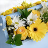 Blue Garden Box Arrangement, Daisies, Gerbera, Roses, Peruvian Lilies, Mixed Floral Arrangement, Floral Gifts, NY Same Day Delivery
