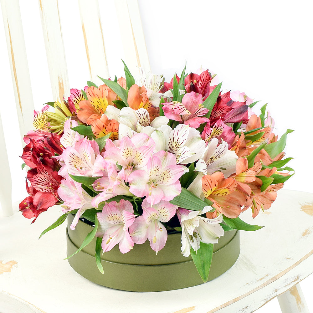 Brilliant Lily Hat Box