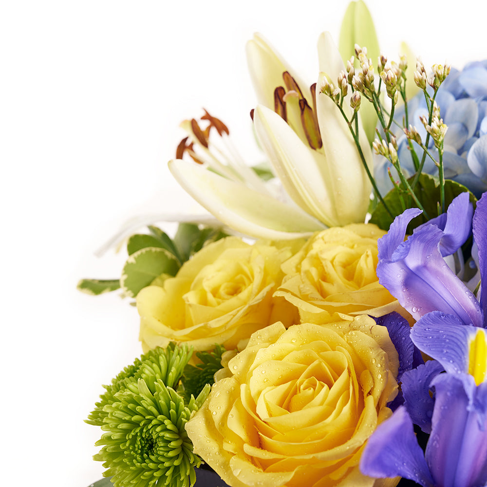 Bursting Beauty Iris Box Arrangement