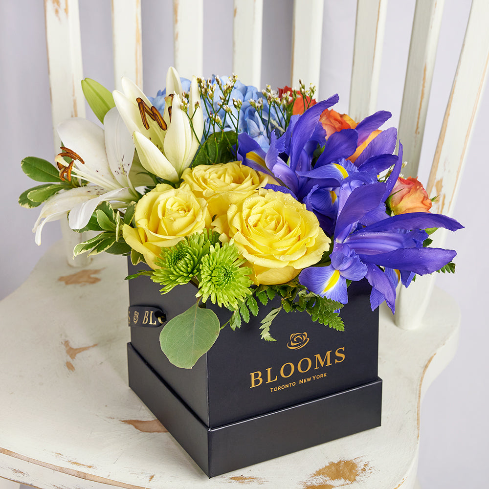 Bursting Beauty Iris Box Arrangement