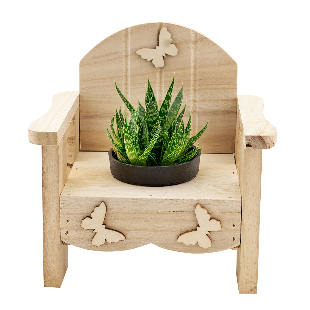 Butterfly Planter Chair Arrangement