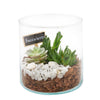 Circle of Life Succulent Terrarium. New York Blooms- New York Delivery