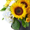 Crowning Glory Sunflower Arrangement - New York Blooms - USA flower delivery