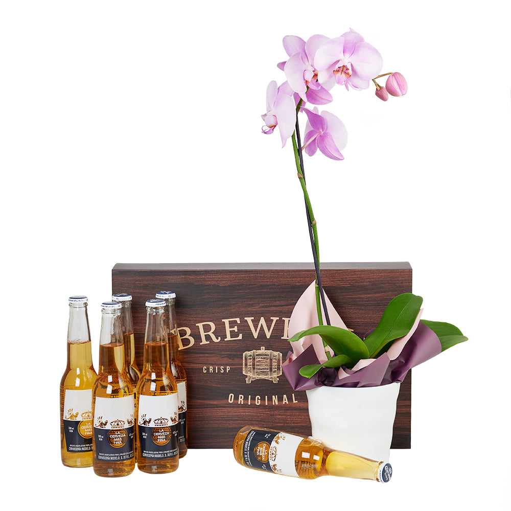 Day Out With The Pals Flowers &amp; Beer Gift, Orchid and Beer, Floral Gifts, Floral Gift Baskets, NY Same Day Delivery