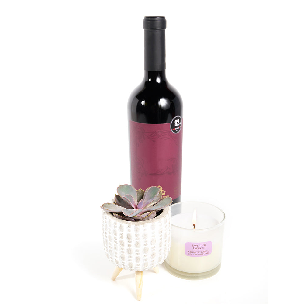 "You're Special" Plant &amp; Wine Gift, Wine Gift Baskets, Succulents, Candle, Wine, Spa Gifts, NY Same Day Delivery