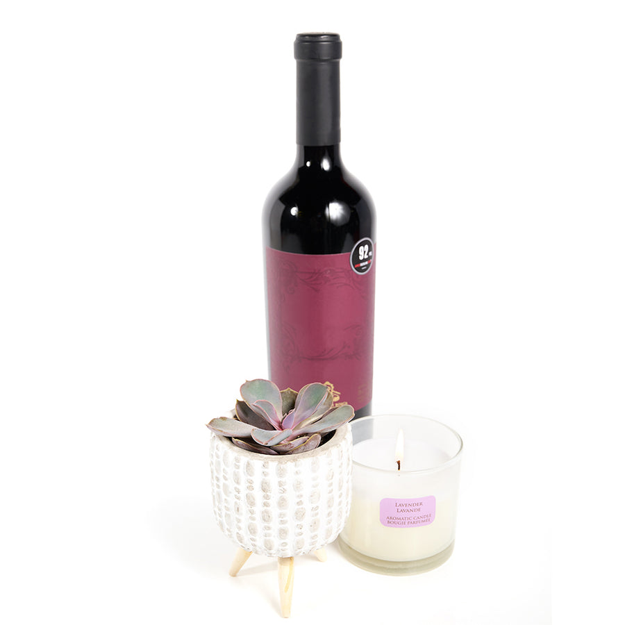 "You're Special" Plant & Wine Gift, Wine Gift Baskets, Succulents, Candle, Wine, Spa Gifts, NY Same Day Delivery