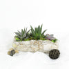 Succulent Rock Garden, floral gift baskets, gift baskets, succulent gift baskets