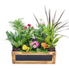 The Secret Garden Box from New York Blooms - Planter Gifts - New York Delivery.