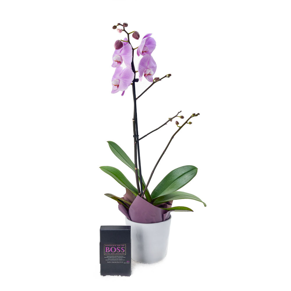 Floral Treasures Flowers & Chocolate Gift, Purple Orchid, Chocolates, Orchid Gifts, Chocolate Gifts, Floral Gift Baskets, NY Same Day Delivery