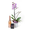 Floral Treasures Flowers & Champagne Gift, Gourmet Gift Baskets, Chocolates, Purple Orchid, Champagne, Chocolate Gift Baskets, Floral Gift Baskets, Orchid Gifts, Gift Baskets, NY Same Day Delivery
