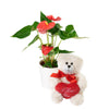 For My Love Flower Gift, Floral Gift Sets, Floral Gifts, Anthurium, Bear Plushie, NY Same Day Delivery