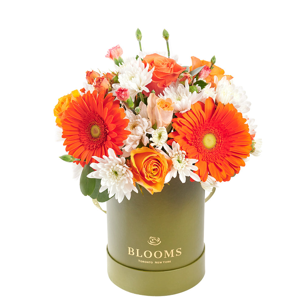 Forever Young Daisy Box, Mixed Floral Arrangement, Multi-Colored Floral Hat Box, Mixed Floral Bouquet, Floral Gifts, Roses, Daisies, Gerberas, Carnations, NY Same Day Delivery