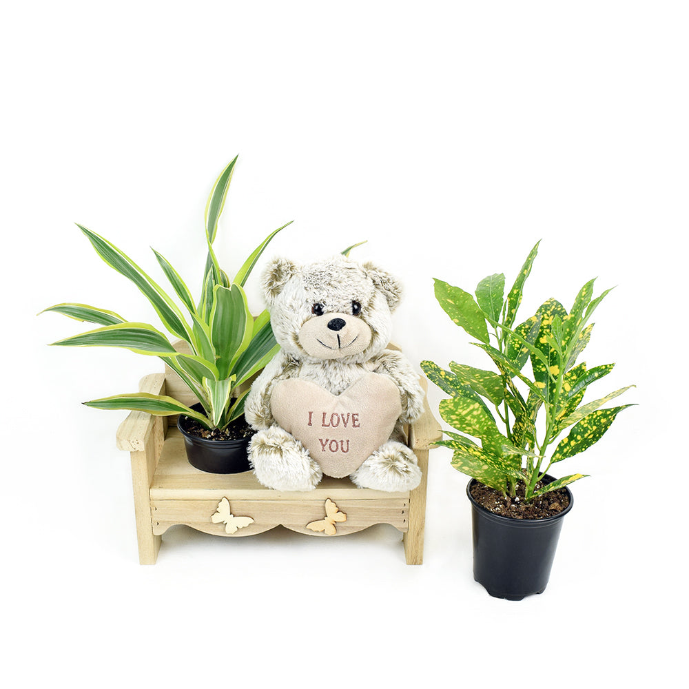 The Gardener's Chair from New York Blooms - Planter Gifts - New York Delivery.