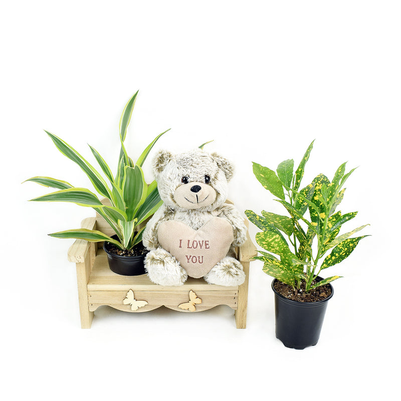The Gardener's Chair from New York Blooms - Planter Gifts - New York Delivery.