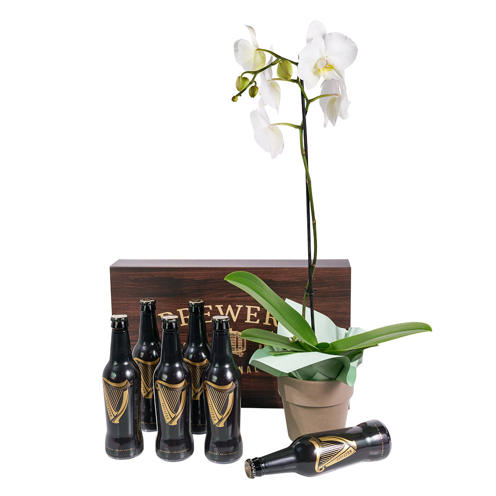 Guinness Flowers & Beer Gift, Orchid and Beer Gift Set, Floral Gifts, Gift Baskets, Beer Gift Baskets, NY Same Day Delivery