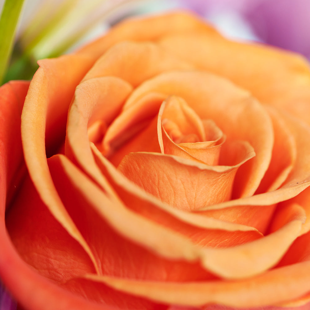 Heavenly Scents Flowers & Champagne Gift, Mixed Floral Arrangement, Spa Gift Set, Floral Gift Set, Floral Gift Baskets, Candles, Floral Gifts, NY Same Day Delivery'