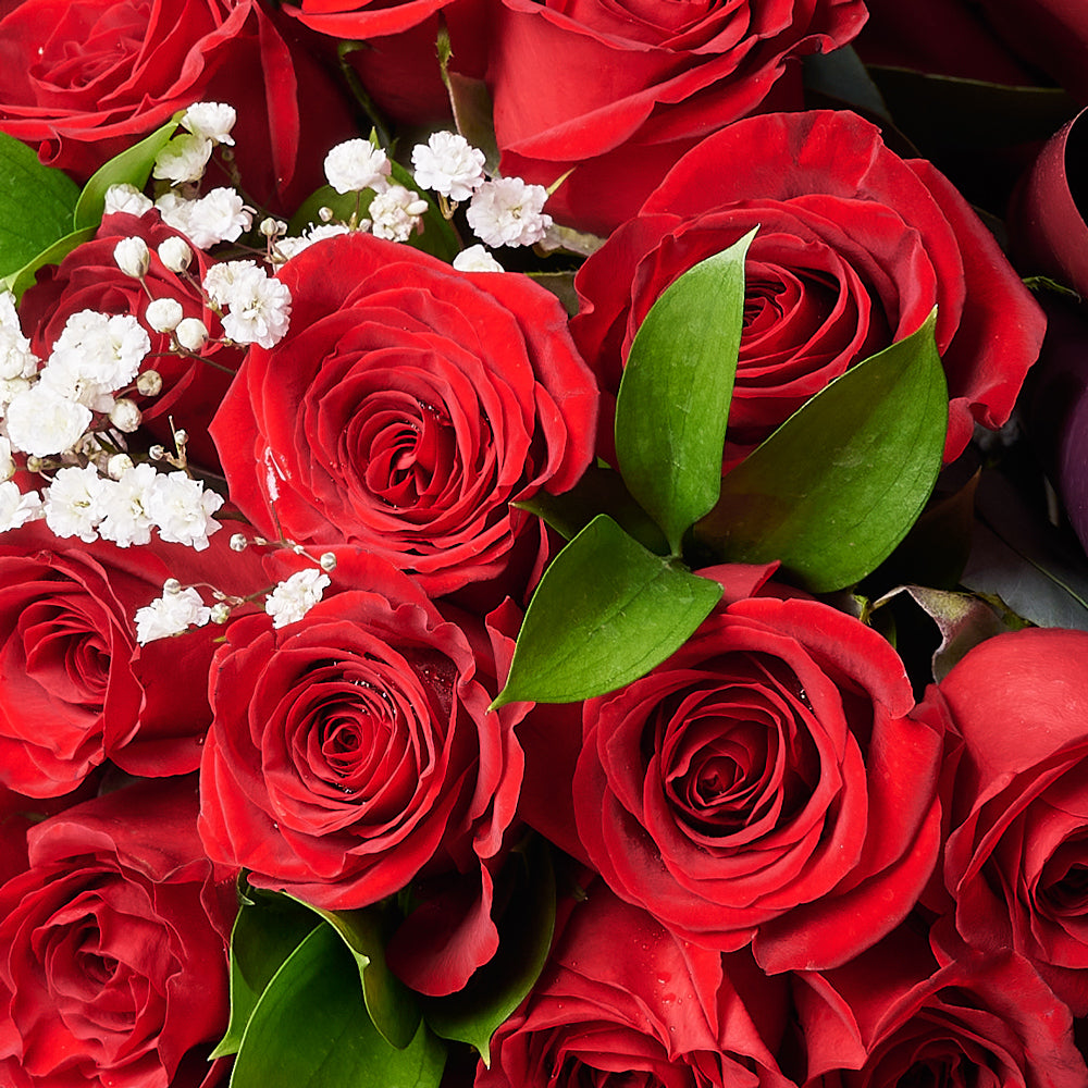 Valentine's Day 36 Red Roses Bouquet from New York Blooms - Flower Gifts - New York Delivery.
