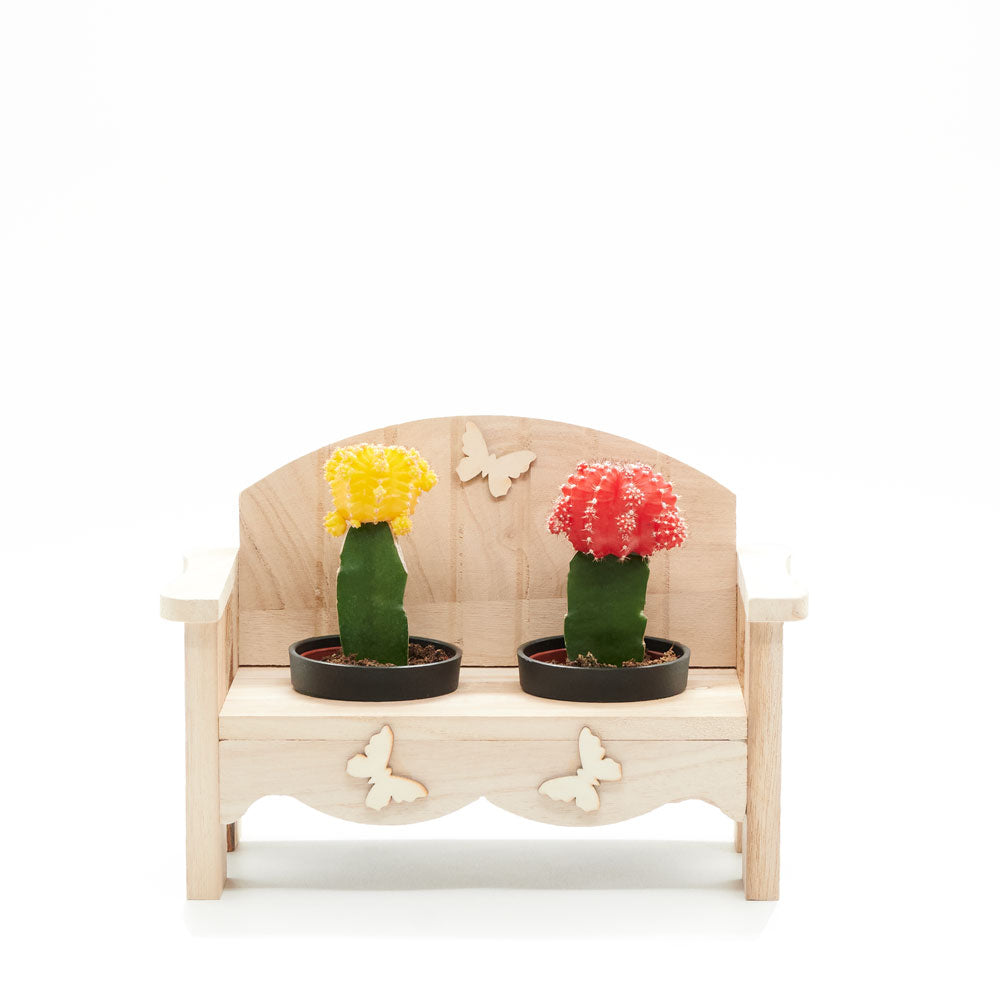 Desert Bench Cactus Arrangement, gift, plant gifts, gifts, cactus, potted plant, succulent, New York Blooms - New York Delivery Blooms