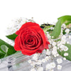 Valentine's Day Single Red Rose from New York Blooms - Flower Gifts - New York Delivery.