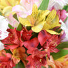 Livewire Lilies Flower Gift, Lily Gifts, Floral Gifts, Mixed Floral Arrangement Hat Box, NY Same Day Delivery