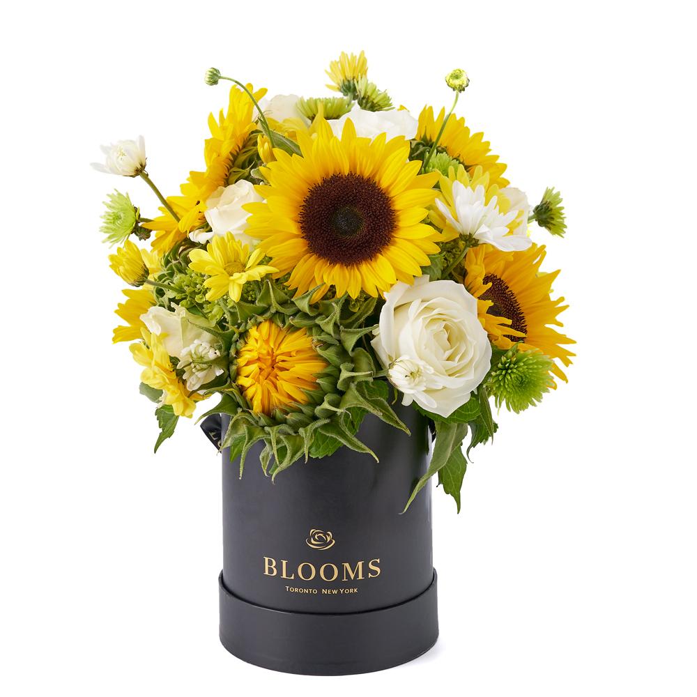 Make Life Sweeter Flower Gift - New York Blooms - USA flower delivery