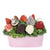 Mother’s Day Pink 12 Chocolate Covered Strawberry Gift Tin