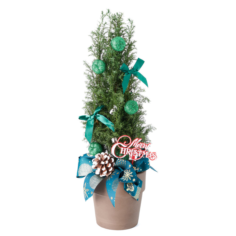Floral Gift, christmas, holiday, tree, mini christmas tree, Set 24023-2021, holiday mini tree delivery, delivery holiday mini tree, christmas mini tree usa, usa mini christmas tree, new york