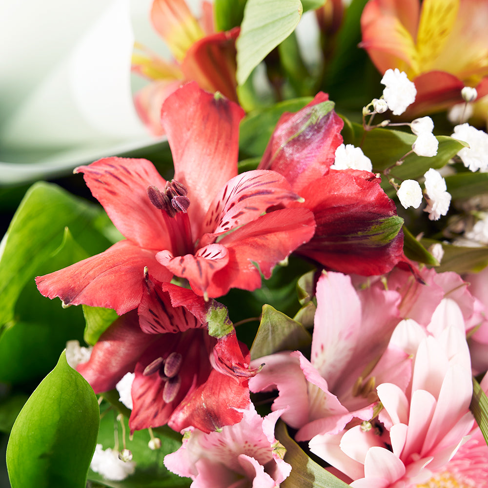 Parisian Brilliance Peruvian Lily Bouquet from New York Blooms - Mixed Floral Gifts - New York Delivery.