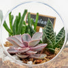 Pear-Shaped Succulent Terrarium from New York Blooms - Planter Gifts - New York Delivery.