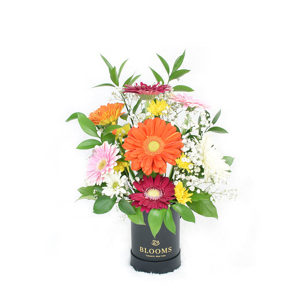 Pops of Cheer Mixed Floral Centerpiece from New York Blooms - Mixed Floral Hat Box - New York Delivery.