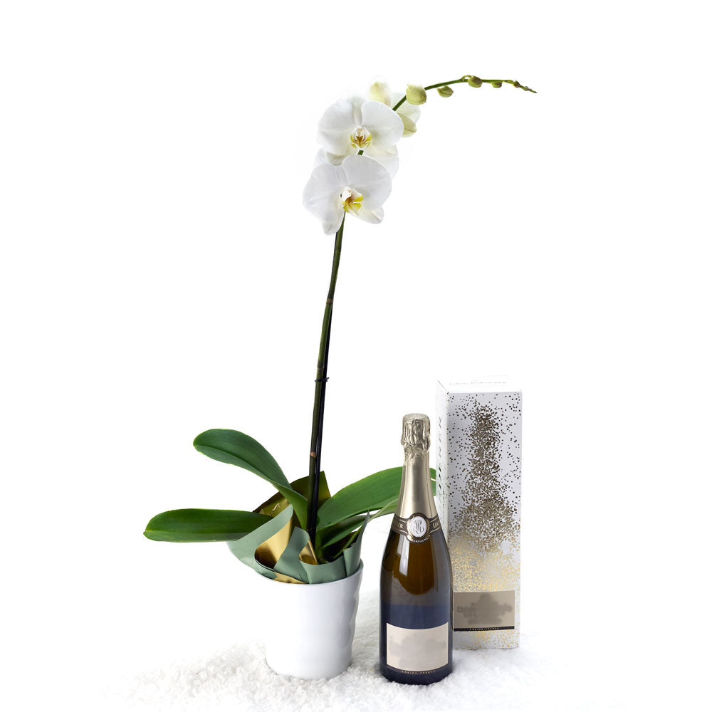 Pure & Simple Flowers & Champagne Gift from New York Blooms - Flowers & Champagne Gift Set - New York Delivery.