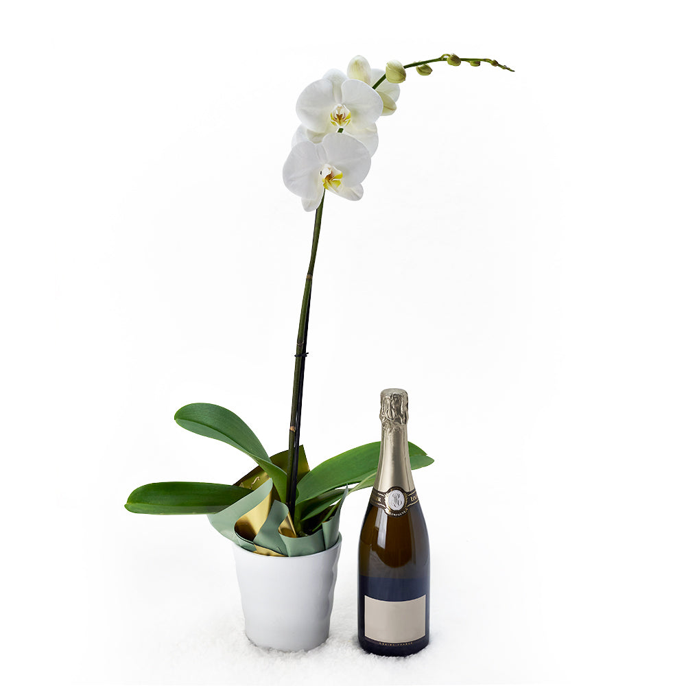 Pure & Simple Flowers & Champagne Gift from New York Blooms - Flowers & Champagne Gift Set - New York Delivery.