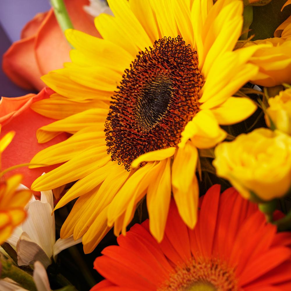 Ray of Hope Sunflower Bouquet from New York Blooms - Flower Gifts - New York Delivery.