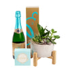 Reasons To Celebrate Plant & Champagne Gift, Champagne Gift Baskets, Gourmet Gift Baskets, Succulents, Chocolates, Champagne, NY Same Day Delivery
