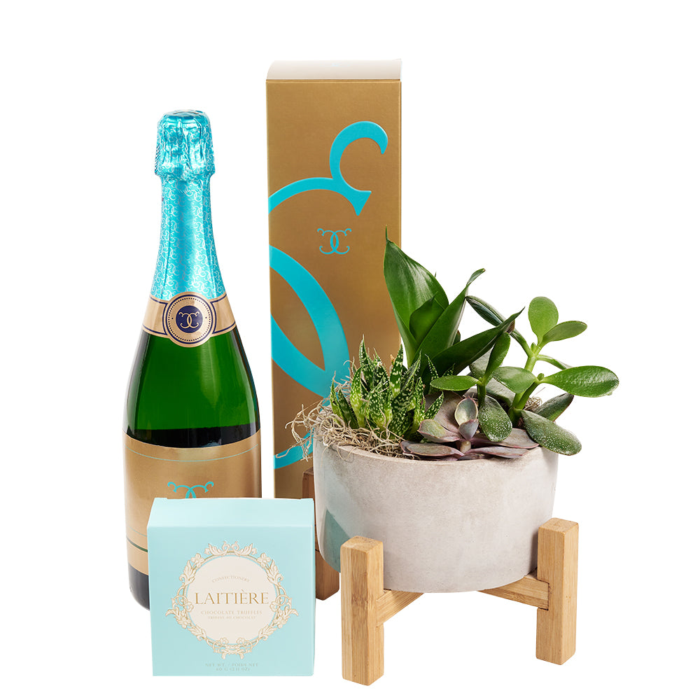 Mother's Day Sparkling Wine Gift Basket