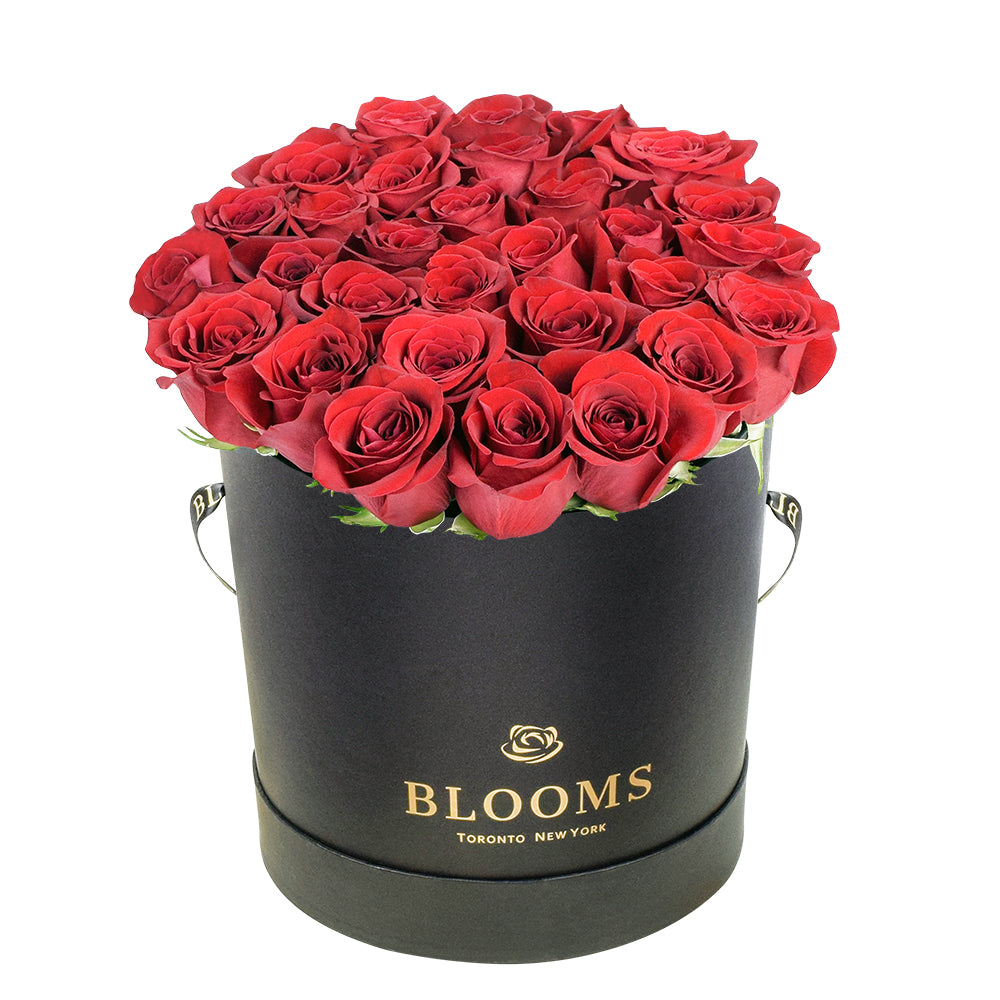 Red Vibrancy Box Rose Set from New York Blooms - Flower Gifts - New York Delivery.