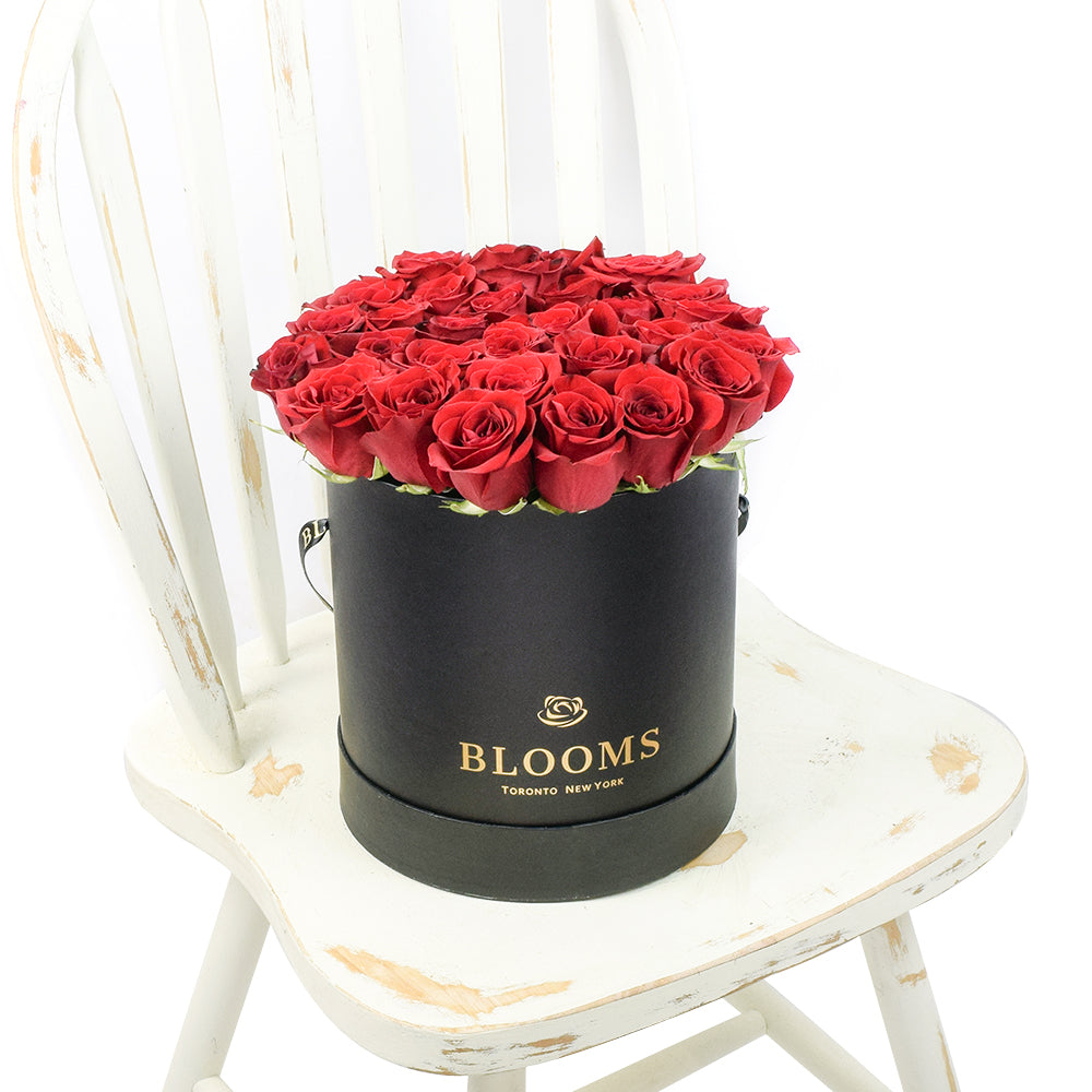 Red Vibrancy Box Rose Set from New York Blooms - Flower Gifts - New York Delivery.